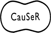 CauSeR