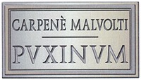 CARPENÈ MALVOLTI PUXINUM