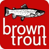 brown trout