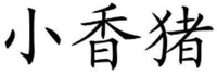 Xiao Xiang Zhu