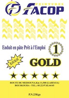 PEINTURES FACOP Enduit en pâte Prêt à l'Emploi GOLD