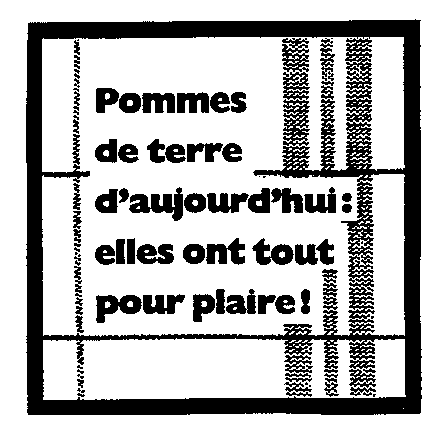 Pomme de terre