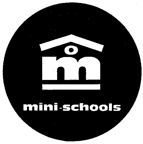 m mini-schools