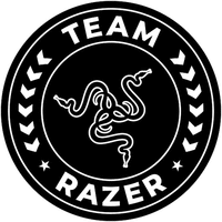 TEAM RAZER