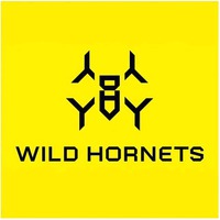 WILD HORNETS