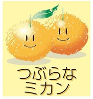 Tsuburana mikan.