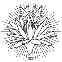 VI