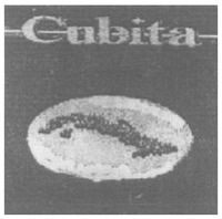 Cubita