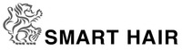 SMART HAIR