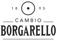 CAMBIO BORGARELLO 1895