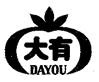 DAYOU