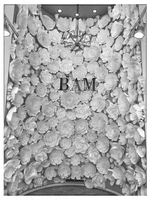 BAM