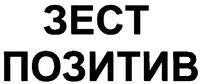 ZEST POZYTYV