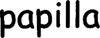 papilla