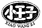 XIAO WANG ZI