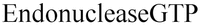 EndonucleaseGTP