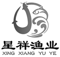 XING XIANG YU YE