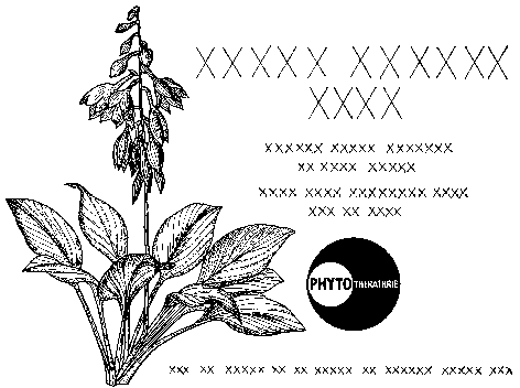 PHYTOTHERATHRIE