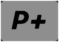P +