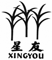 XINGYOU
