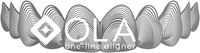 OLA, one-line aligner