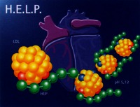 H.E.L.P.