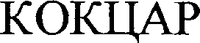 KOKTSAR