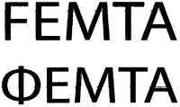 FEMTA
