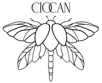 CIOCAN