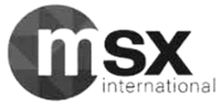msx international