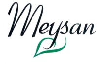 Meysan