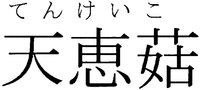 TENKEIKO