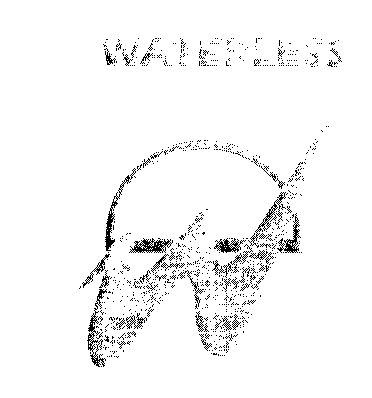 WATERLESS