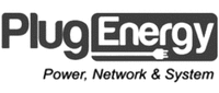 Plug Energy Power, Network & System