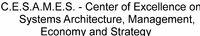 C.E.S.A.M.E.S. - Center of Excellence on Systems Architecture, Management, Economy and Strategy