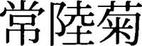 Hitachigiku.