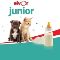 elvor junior