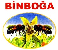 BINBOGA