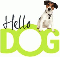 Hello DOG
