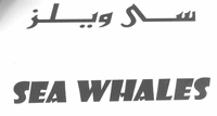 SEA WHALES