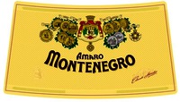 AMARO MONTENEGRO