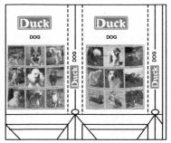 Duck DOG