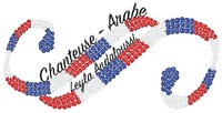 Chanteuse - Arabe Leyla Andaloussi