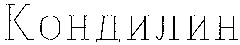 CONDYLINE