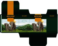 ACCAM chai