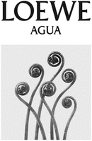LOEWE AGUA