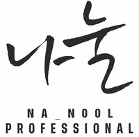 NA NOOL PROFESSIONAL