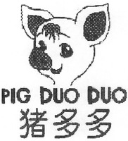 PIG DUO DUO