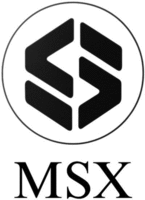 S MSX