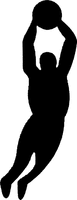 Device of a basketball player